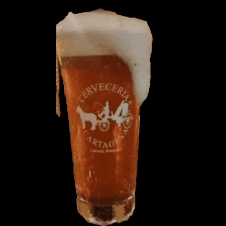 Cheers Cerveza GIF by CERVECERIA CARTAGENA