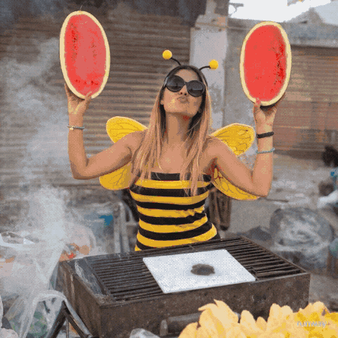 Watermelon Ro GIF