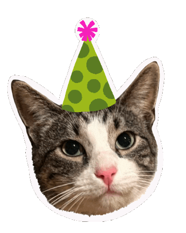 Ejlpets Sticker