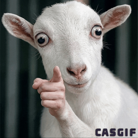 Goat GIF