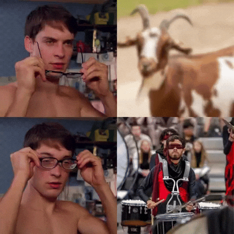Sankar GIF