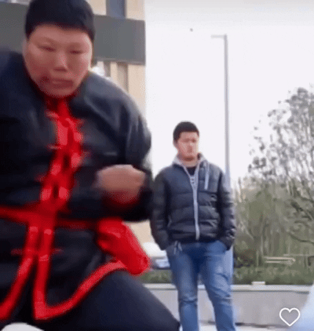 Martial Arts Fighting GIF by Micropharms
