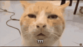 Question Mark What GIF