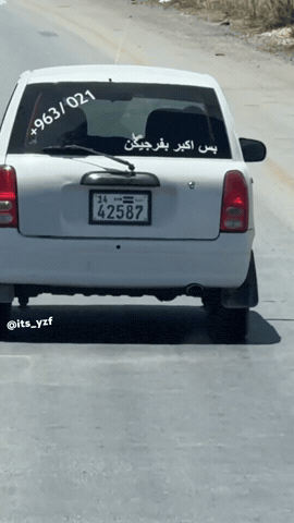 Syria Absi GIF
