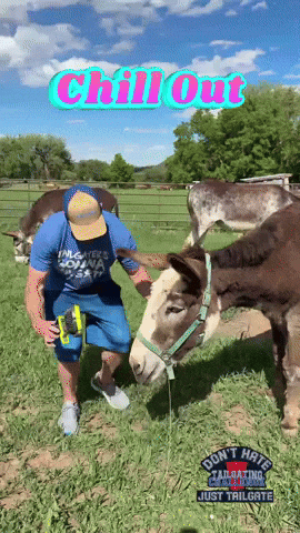 Chill Out GIF by Tailgating Challenge