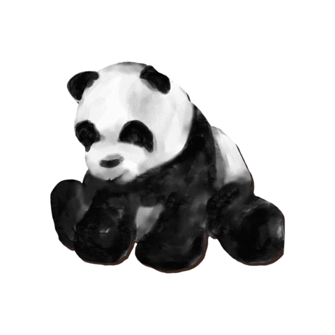Panda Sticker