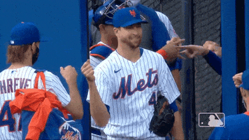 Ny Mets Team GIF by New York Mets