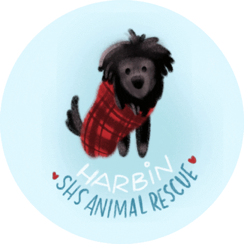 Dog Sticker