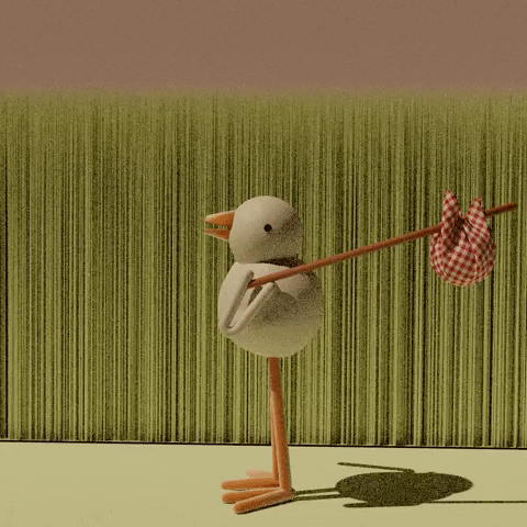 Bird Walking GIF by daisymlink