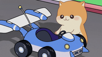 Race GIF