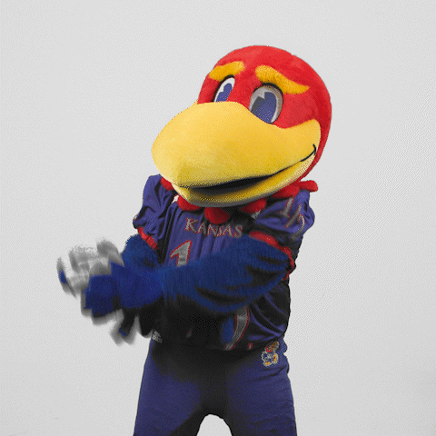 Clapping Congrats GIF by University of Kansas