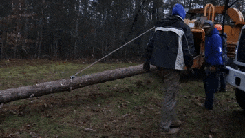 Wood Chipper Tree Cutting GIF by JC Property Professionals