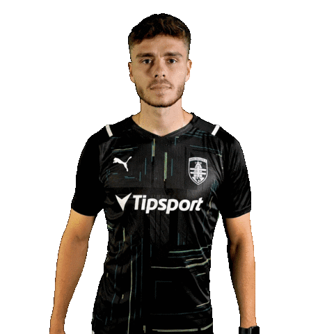 Football Soccer Sticker by MFK Skalica