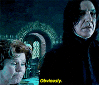 Funny-harry-potter GIFs - Get the best GIF on GIPHY Funny-harry-potter GIFs - Get the best GIF on GIPHY