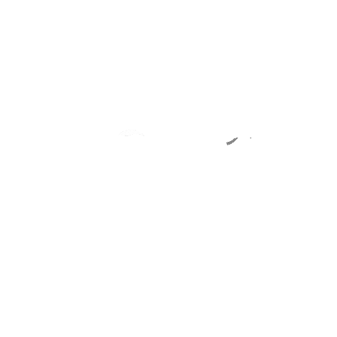 Chandra Maharaj Sticker