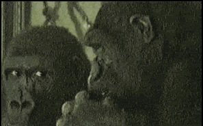 giphy.gif?cid=6c09b952ce93riuylon97yc4re