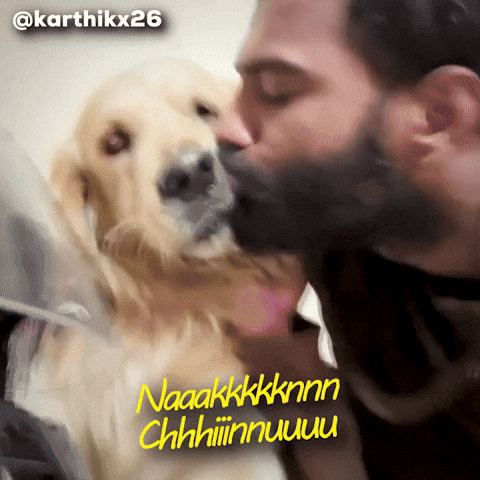 Nknchinnu GIF