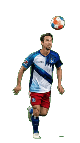 Ball Hamburg Sticker by HCundS