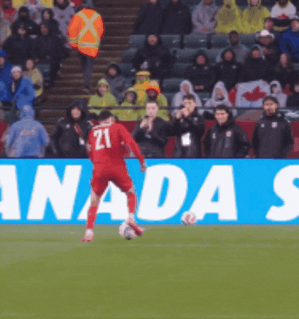 World Cup Fifa GIF by BioSteel Sports