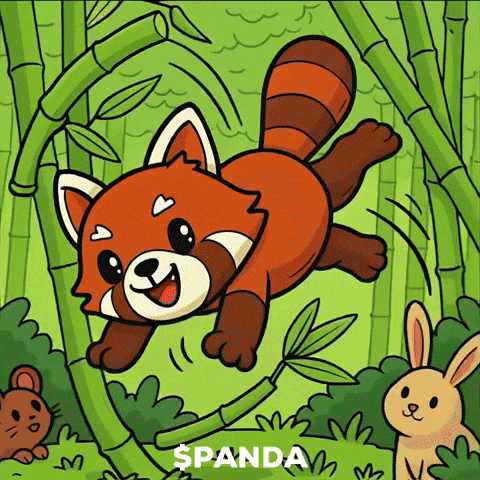 Red Panda Laugh GIF by PandaMania