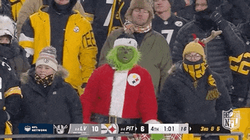 The Grinch Football GIF by NFL