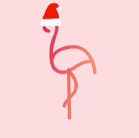 GIF by Pink Flamingo Yoga