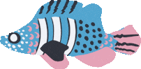Wave Fish Sticker by Vera Bradley
