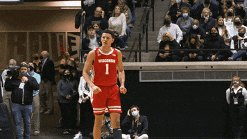 Lets Go Nod GIF by Wisconsin Badgers