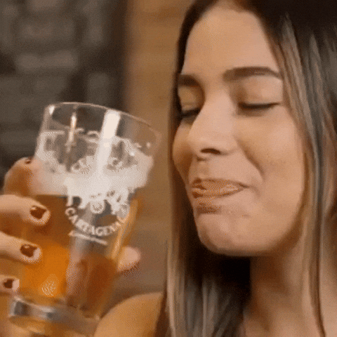 GIF by CERVECERIA CARTAGENA
