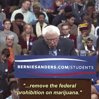 politics omg weed marijuana 420