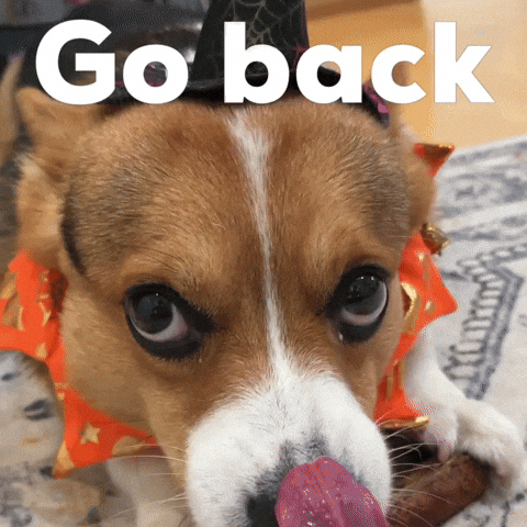 Go Back Dog GIF