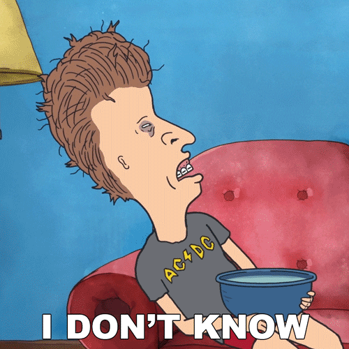 Beavis And Butthead Idk GIF by Paramount+