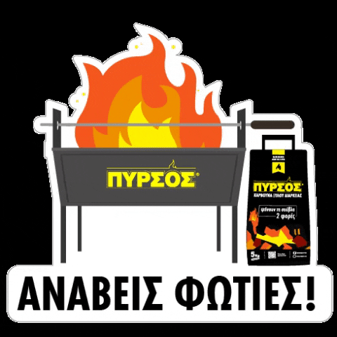 Grill Cyprus GIF by Pyrsos BBQ