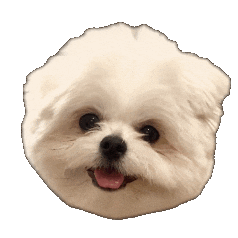 Dog 犬 Sticker