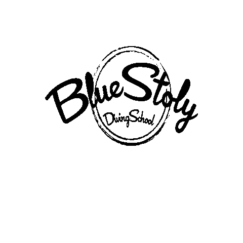 Bluestory Sticker by SNSI Japan