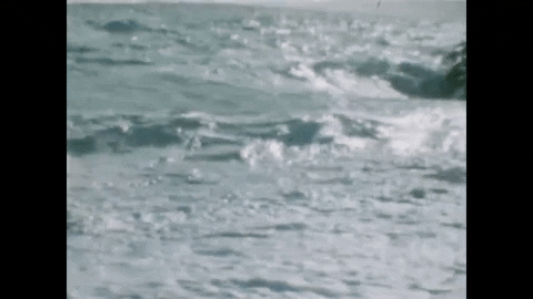 animated ocean waves gif