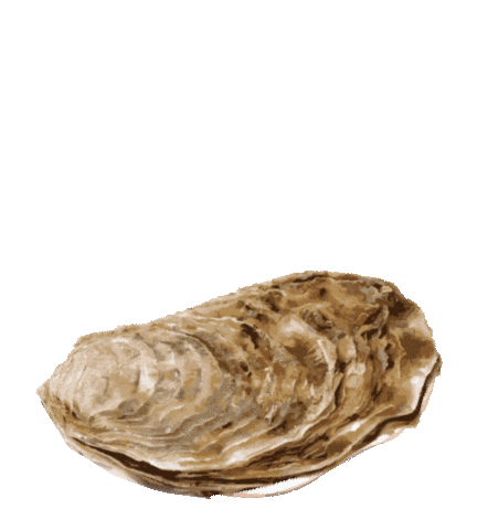 Food Restaurant Sticker by The Harbour Club