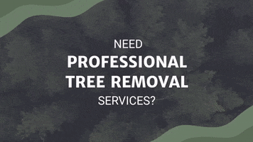 Tree Service GIF
