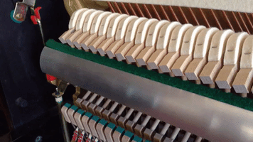 glenbarkman  GIF