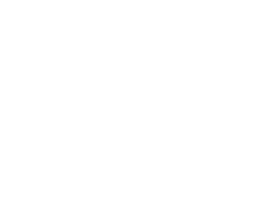 Rayitas Sticker by Flora Almacen