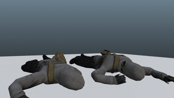 Blender GIF