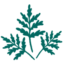 Rarestkind Sticker by Erstwilder