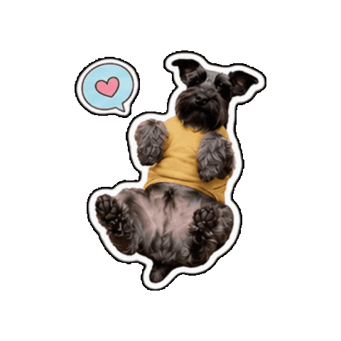 Schnauzer Sticker