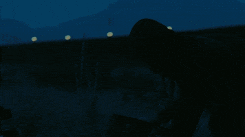 Leonardo Dicaprio Pta GIF