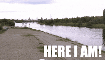 Moving Car Rental GIF by CarlundCarla.de