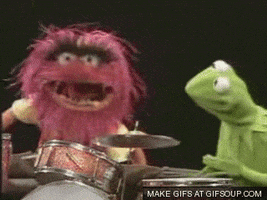 Drums Muppets GIF