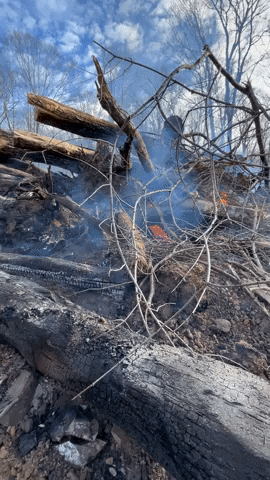 Fire Clearing GIF by JC Property Professionals