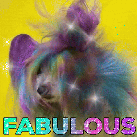 UncannyAnimals dog rainbow hair colorful GIF