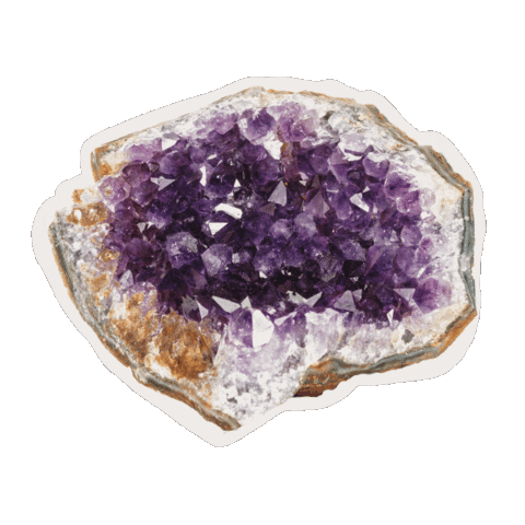 Purple Sticker