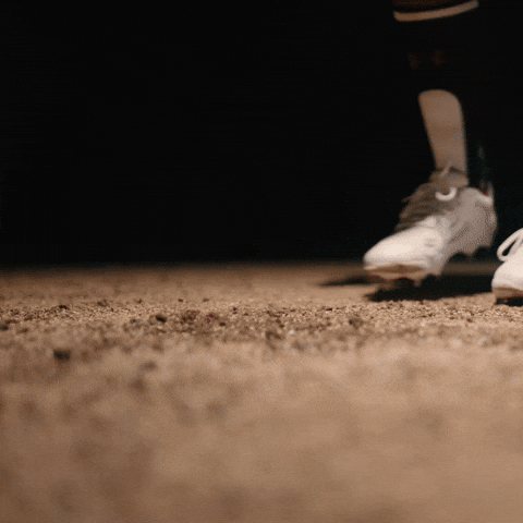 South Carolina Celebration GIF by Gamecock Athletics